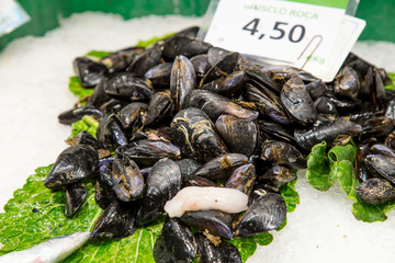 Fresh mussels on fish farmer market ready for sale