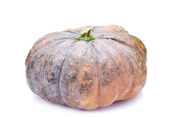 Pumpkin isolated on white background