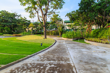 The path in the park.