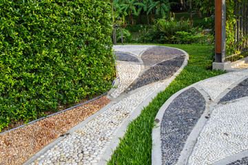 Stone walkway in the rock garden