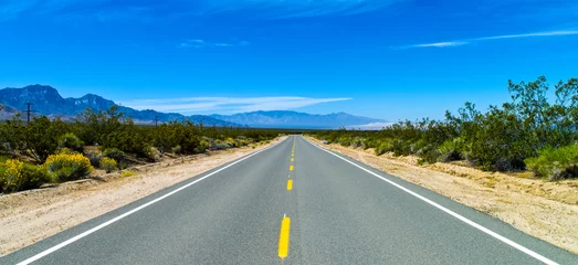 Foto op Canvas VS Californië, de Route 66 bij het Mojave National Reserve © giumas