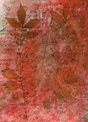 Abstract watercolor background and branch plant. Mixed media