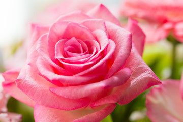 フラワーアレンジメント