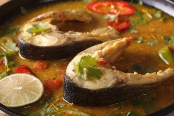 Delicious spicy fish curry with coriander macro. horizontal
