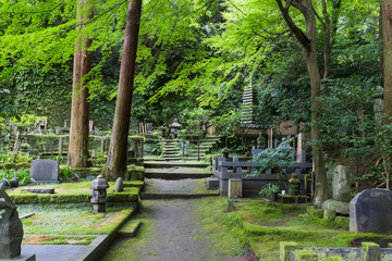 Cementerio Japon&eacute;s