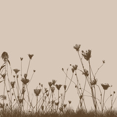 Natural wild plants on grass silhouette