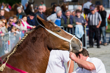 Foire au chevaux