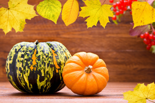 Kürbis und Herbst Dekoration zu Halloween