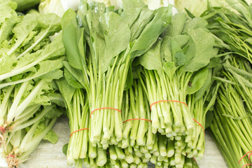 Spring Onions also known as Salad Onions, Scallions or Green Onions on the market