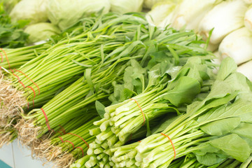 Spring Onions also known as Salad Onions, Scallions or Green Onions on the market