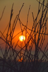 Fototapeta premium sunrise