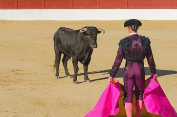 Wall murals Bullfighting Bullfighter in front of the bull