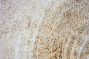 Grunge cutting board. Wood texture.