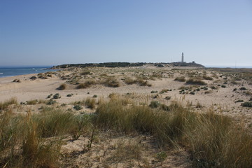 Vista de edificación en la isla de Sancti Petri. Cádiz.
