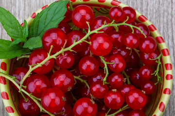 Red currant