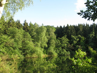 Obraz premium See mit Wald