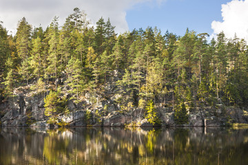 Forest on top of a cliff aside lake
