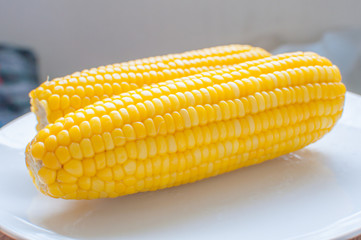 Boiled corn on white bowl