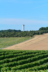 Landscape with water tower rows of vines and wheat field in France