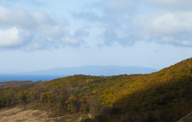 Fototapeta premium Autumn wood