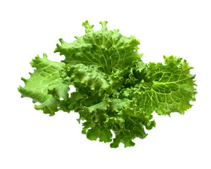 Fototapeta premium Salad isolated on white background .Salad leafs