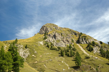 alpine slope under a clear blue sky
