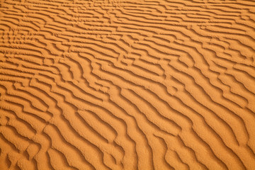 Red sand desert