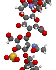 Chondroitin sulphate (short fragment).