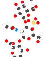 Chondroitin sulphate (short fragment). 