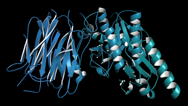 Proprotein convertase subtilisin kexin type 9 (PCSK9) protein. 