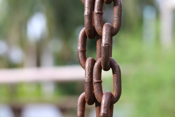 Green benches beside walkway in the park.