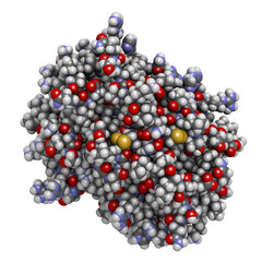 Platelet factor 4 (PF-4) chemokine protein.