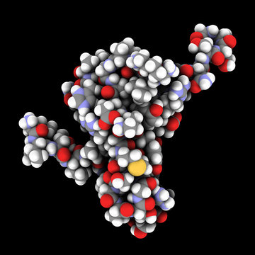 Tau Protein Fragment. May Play A Role In Alzheimer's Disease.