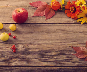 autumn background
