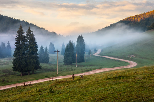 road  near fir forest in foggy mountains at sunrise