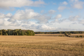 Fototapeta na wymiar harvested fields in the hills near the forest