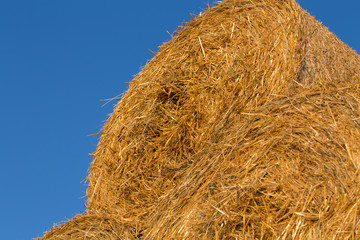 Piled hay bales on a field against blue sky