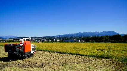 Naklejka premium 赤城山と農業