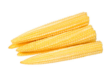 Baby corn on a white background, close-up