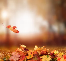 Zelfklevend Fotobehang Herfst Vallende herfstbladeren achtergrond
