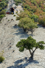 zoo, Safari Park, Gelendzhik