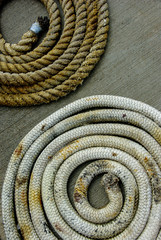 Coiled mooring lines