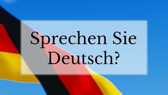 Sprechen Sie Deutsch text w/ German flag background. Learn German language concept