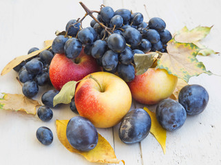 Ripe Autumn Apples,Grapes and Plums Assortment