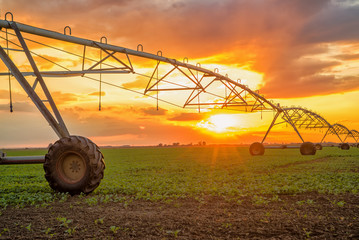 Automated farming irrigation system in sunset
