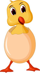 funny baby duck cartoon