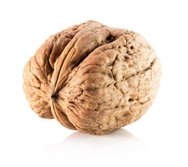 walnut isolated on the white background