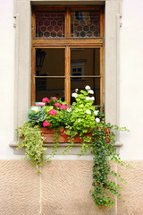 Fototapeta na wymiar Window in Prague