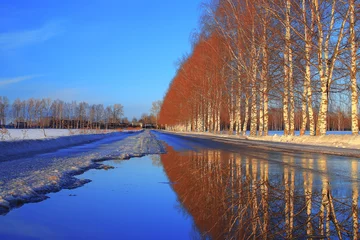 Foto op Plexiglas Spring landscape snow melts in the forest © kichigin19