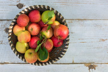 Organic apples in basket, on white vintage wooden background, fresh homegrown produce © andreaobzerova